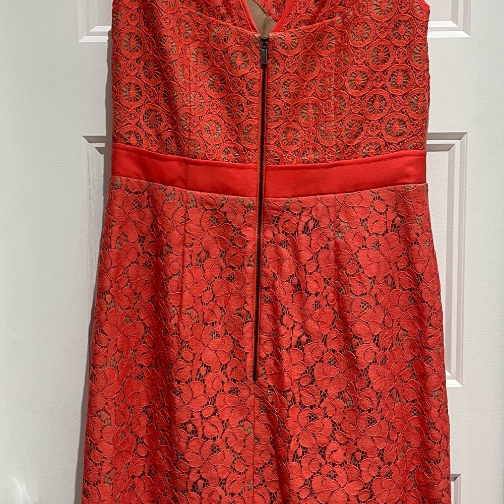 BCBG Lace dress